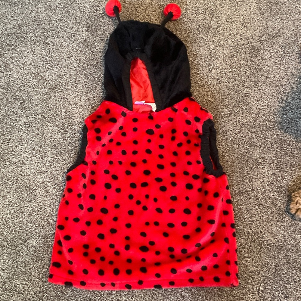 Kids Ladybug Costume Hooded Vest - Red & Black